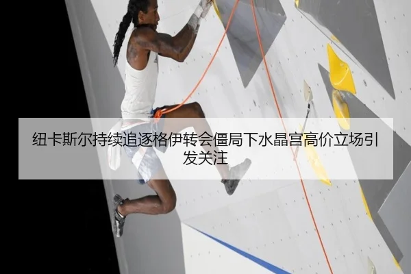 纽卡斯尔持续追逐格伊转会僵局下水晶宫高价立场引发关注